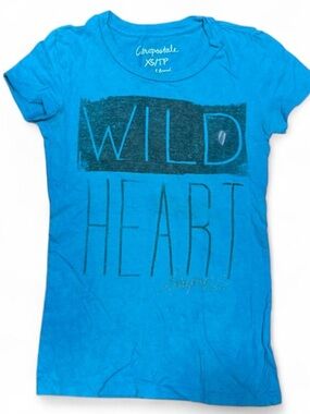 Y2K Aeropostale Wild Heart Teal Slim Fit Tee
